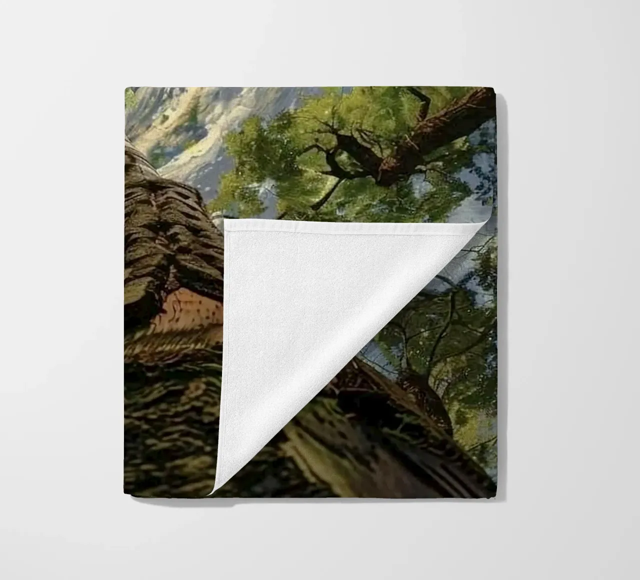 circle storm tree telo mare da lifeline