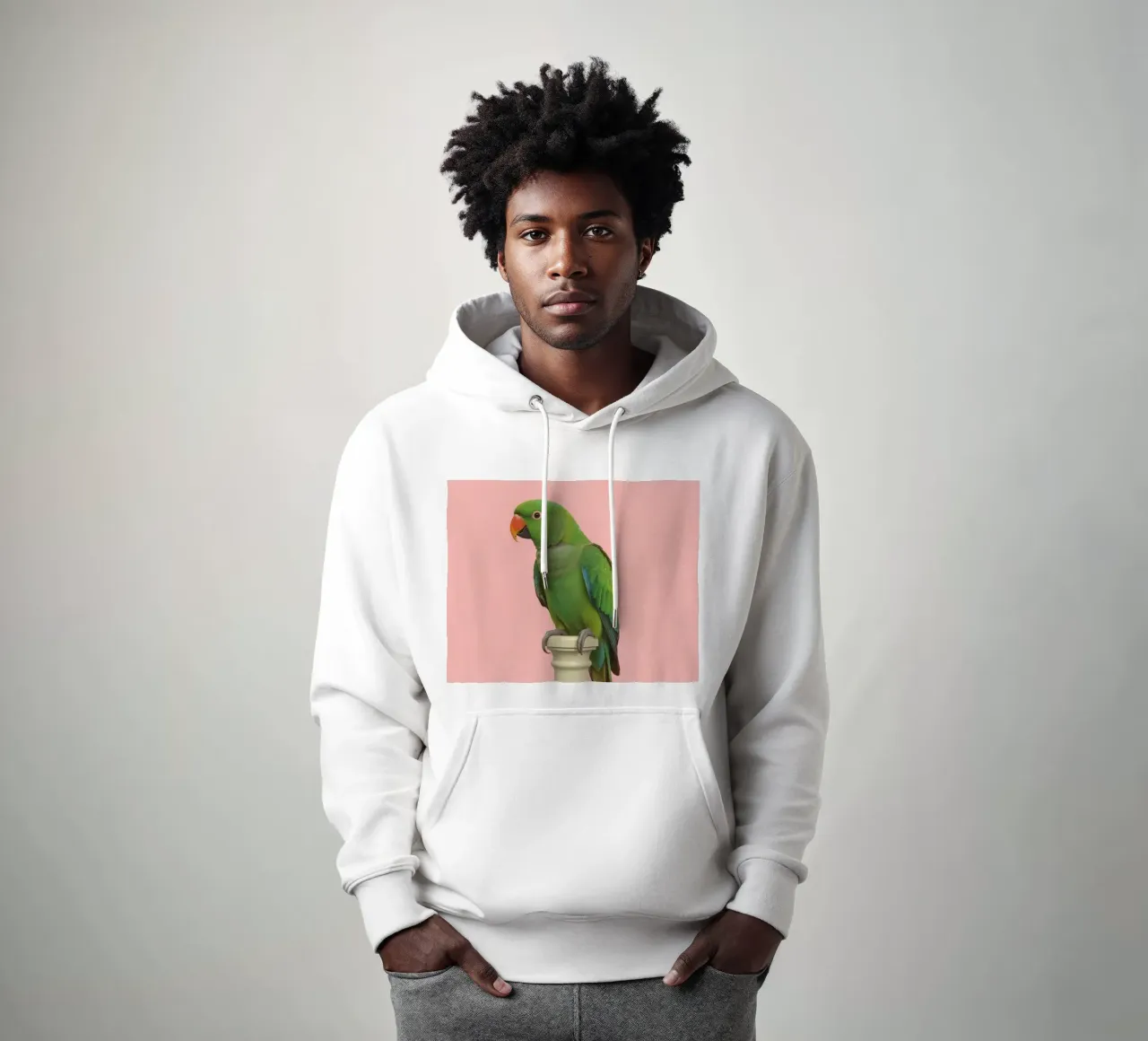 Pappagallo verde su palo a strisce bianche e rosse felpa con cappuccio da DesignDoodle