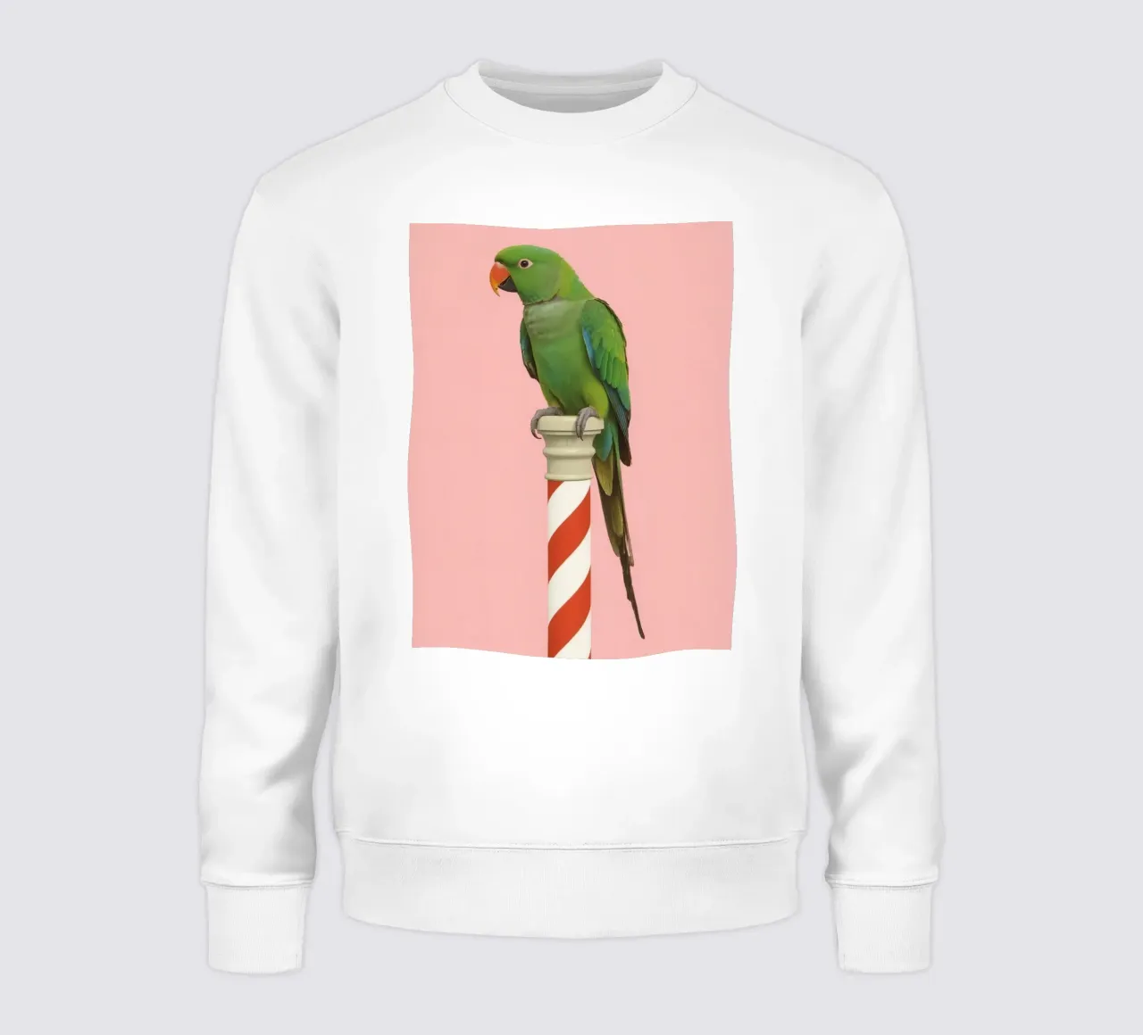 Pappagallo verde su palo a strisce bianche e rosse felpa da DesignDoodle