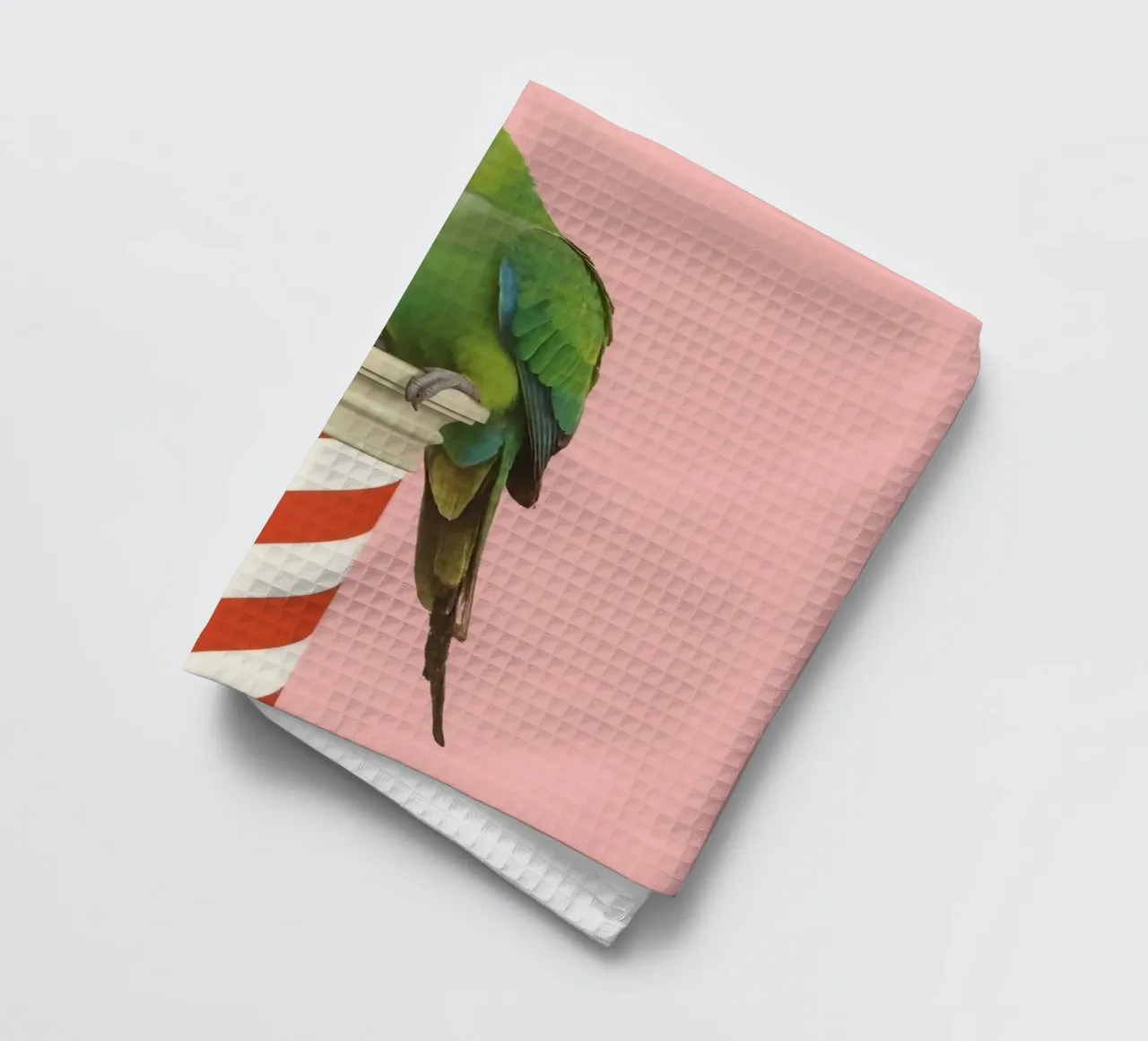 Pappagallo verde su palo a strisce bianche e rosse canovaccio da cucina da DesignDoodle