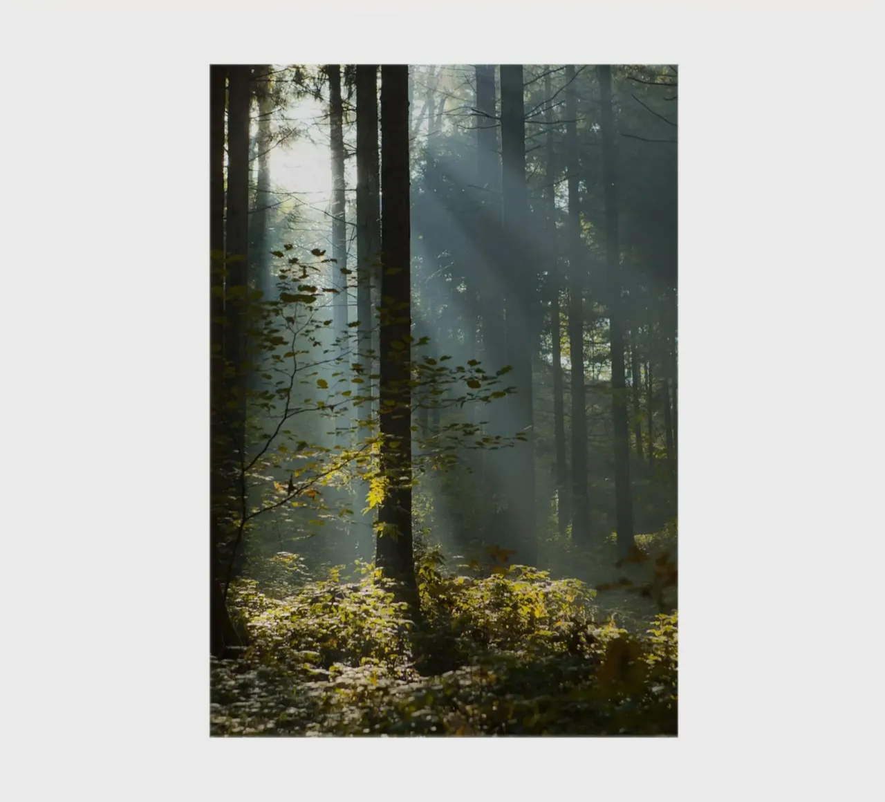 Reidholz notebook by Marc Gruninger
