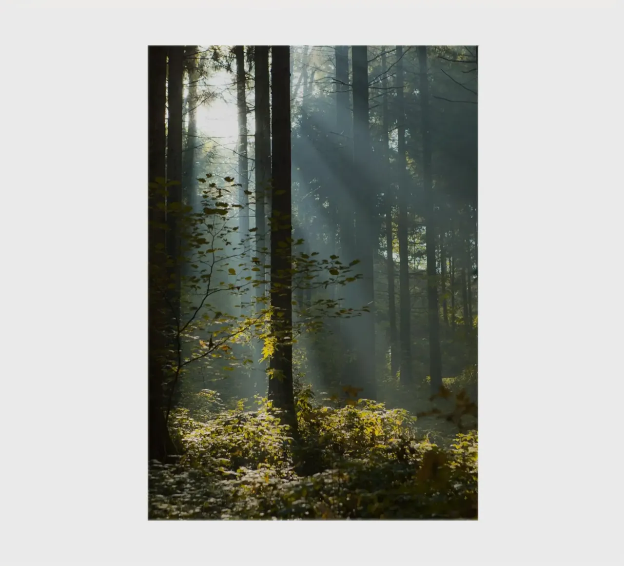 Reidholz notebook by Marc Gruninger