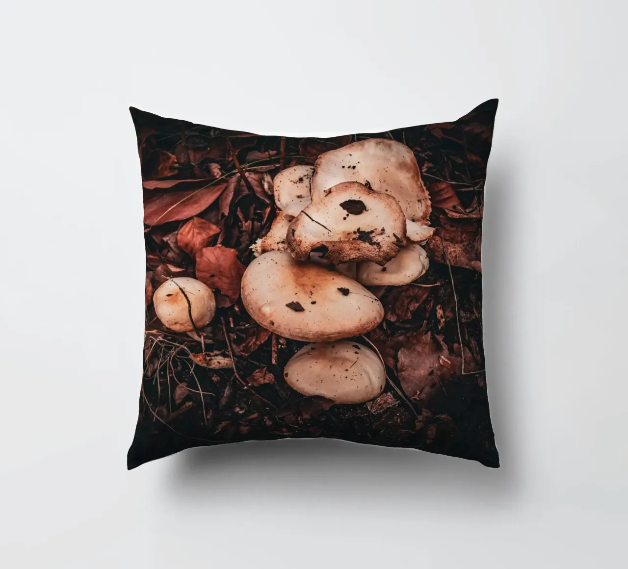 Paddenstoelen op de bosgrond kussen van Marcus Beckert | Fotografie