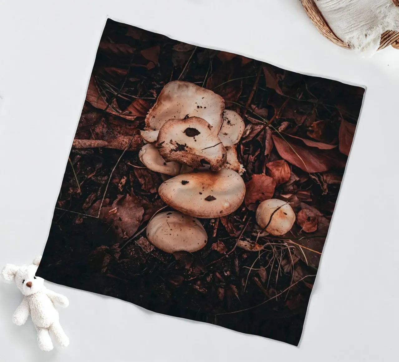 Funghi sul suolo della foresta coperta in pile da Marcus Beckert | Fotografie