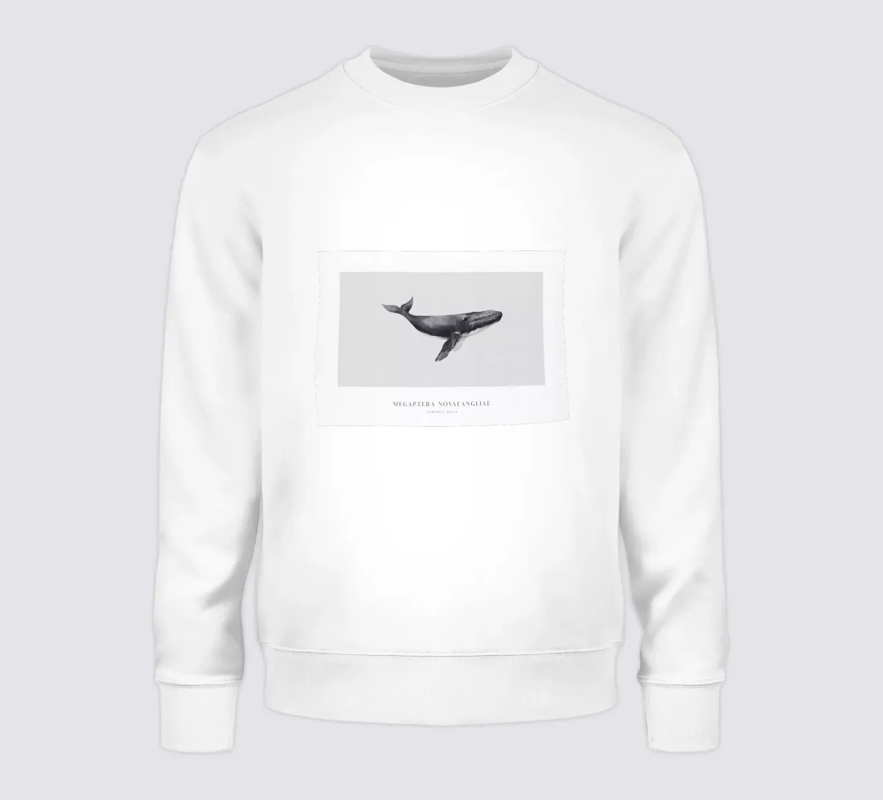 Boho Ocean 1 Humpback Whale felpa da Boho Print Collection