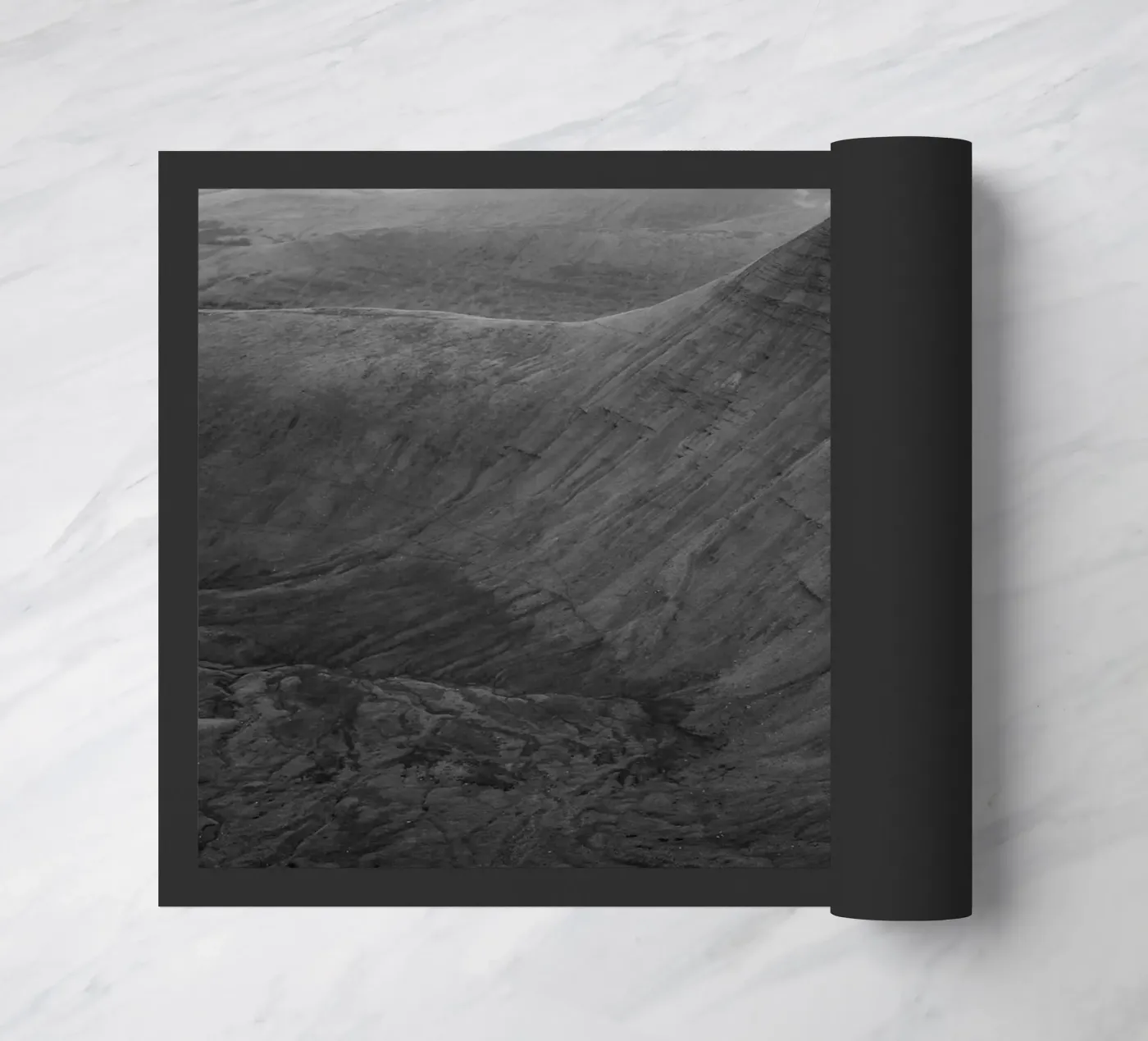 Cribyn zerbino da Marc Gruninger