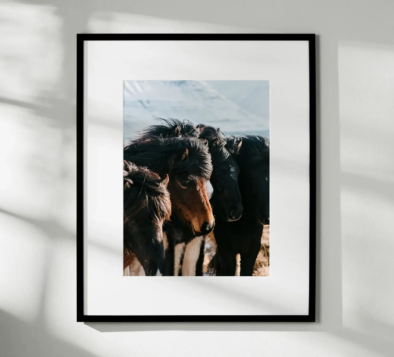 Cavalli nella terra del ghiaccio poster con telaio in legno da Black And White