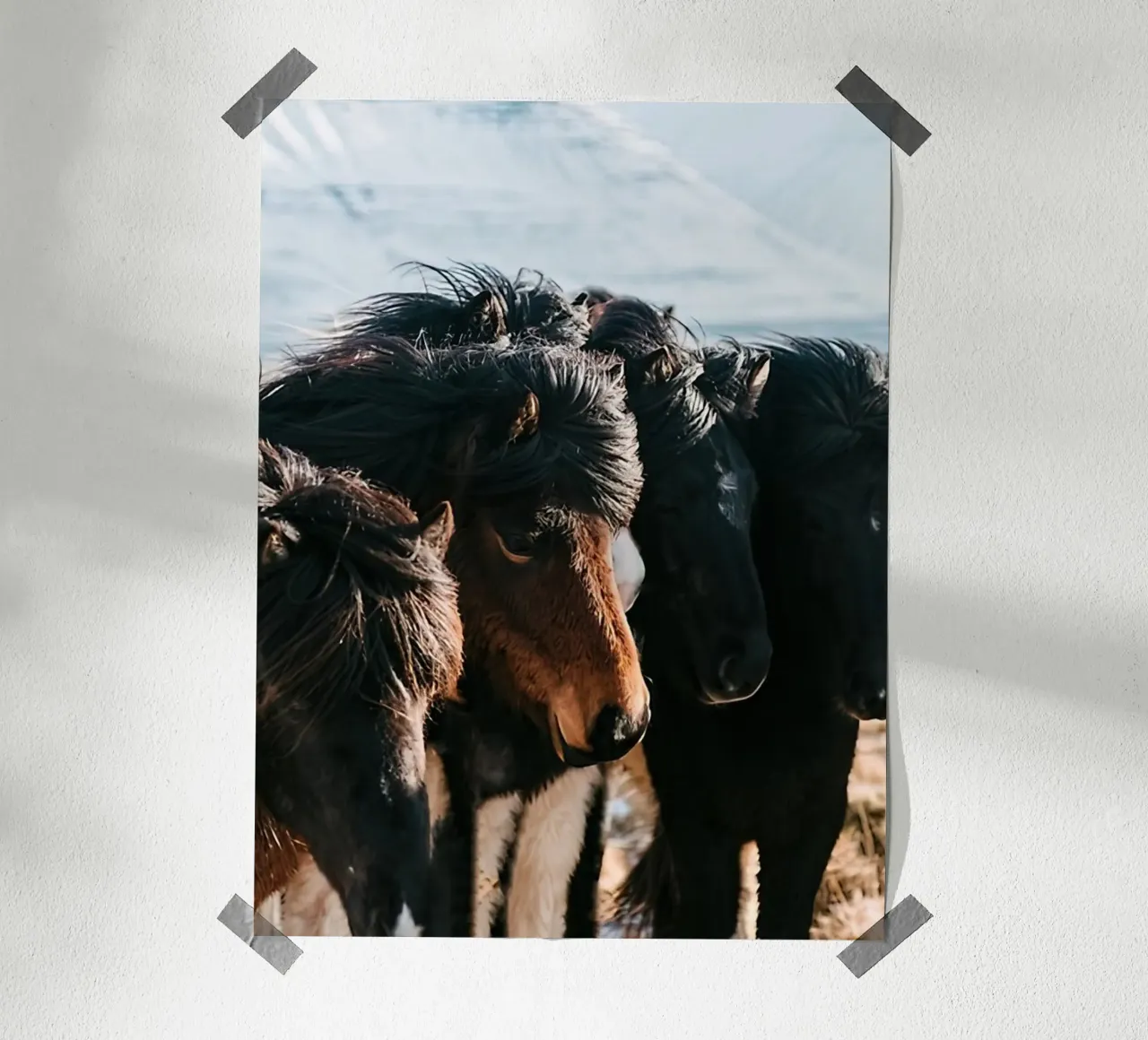 Cavalli nella terra del ghiaccio poster con telaio in legno da Black And White