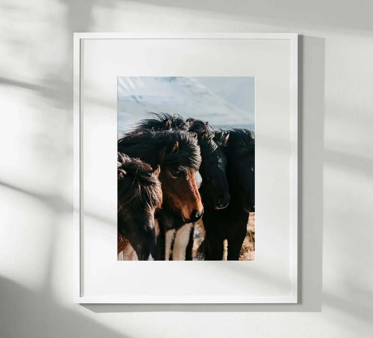 Cavalli nella terra del ghiaccio poster con telaio in legno da Black And White