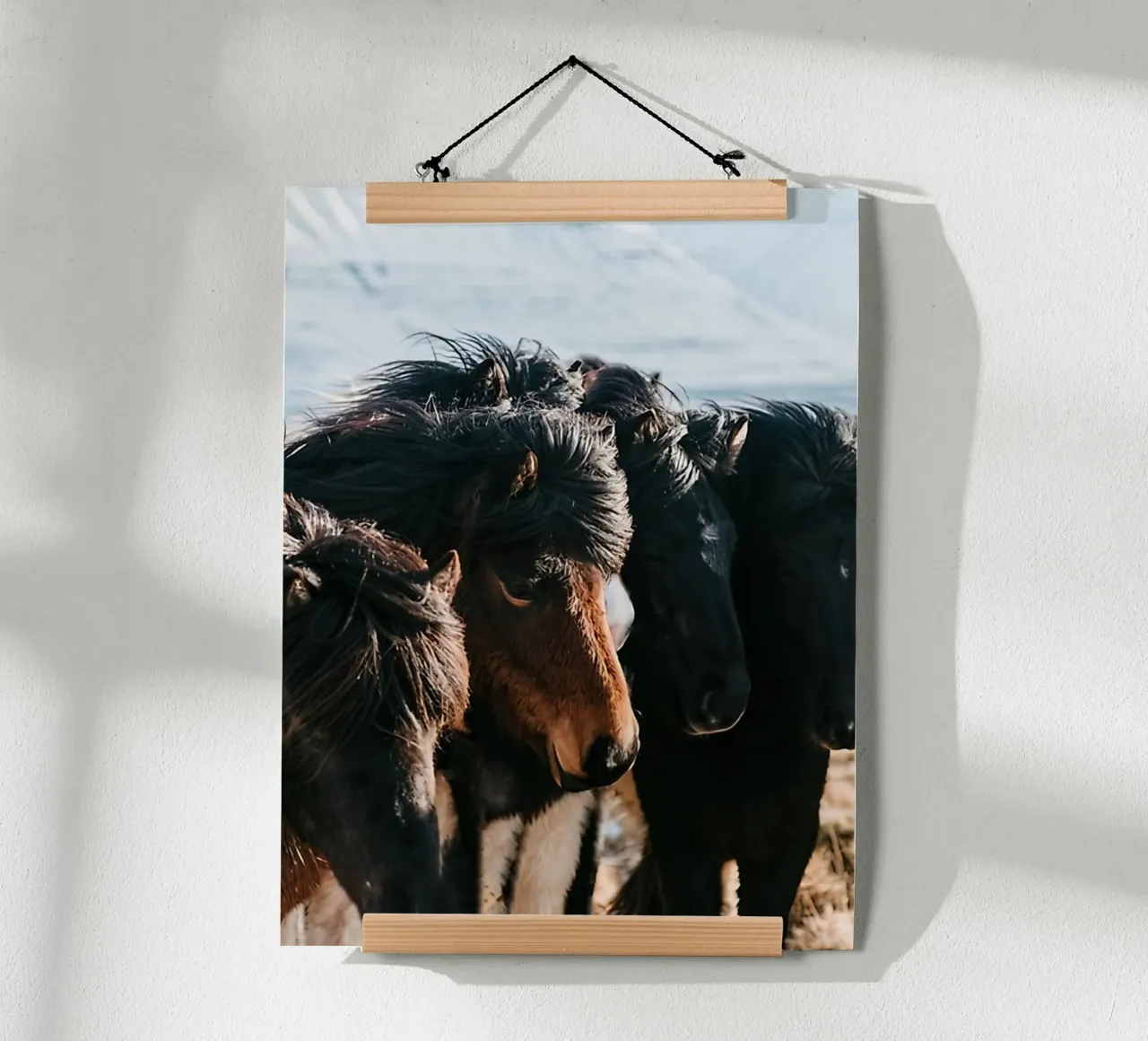 Cavalli nella terra del ghiaccio poster con telaio in legno da Black And White