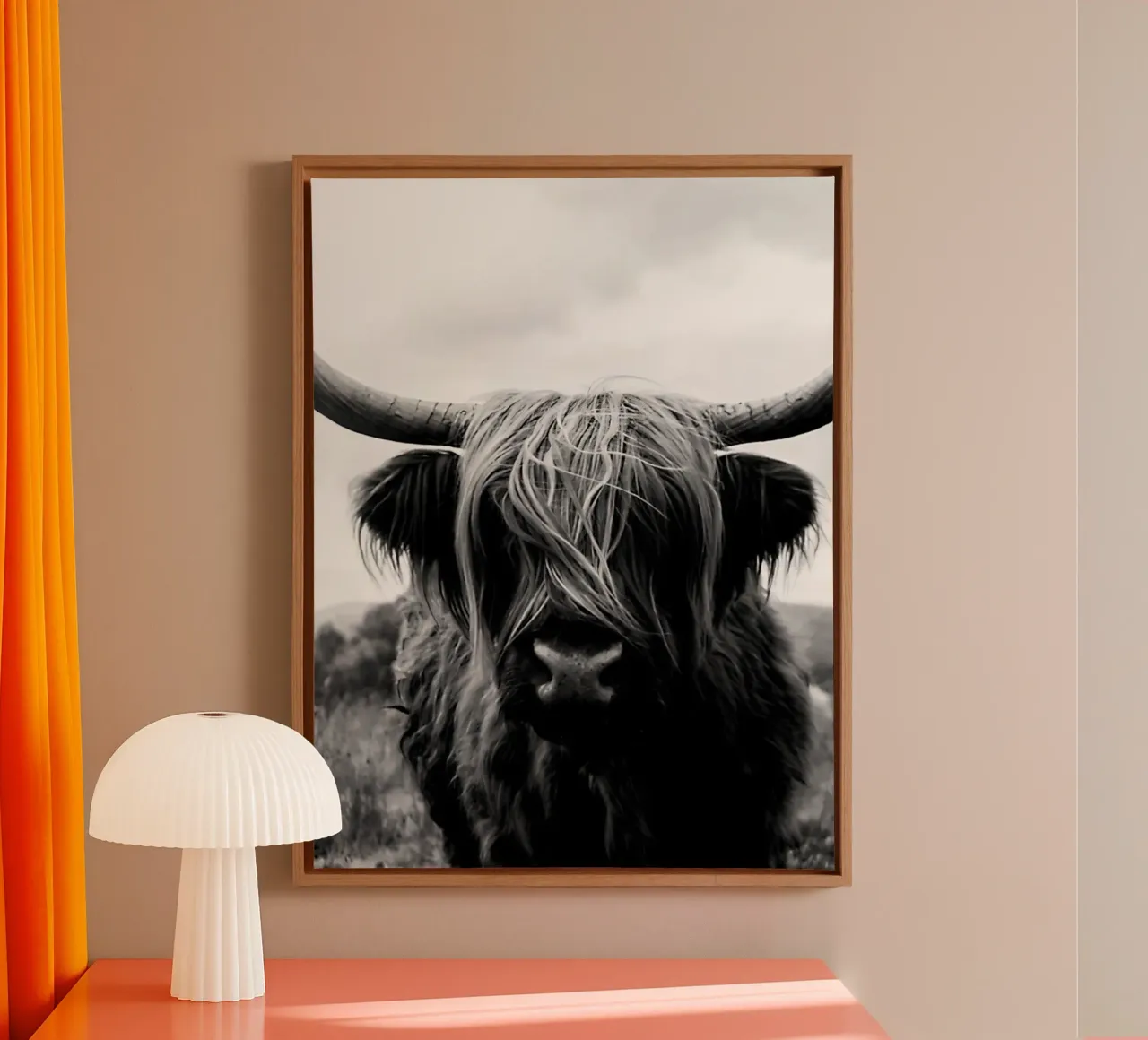 Scottish Highland Cattle canvas with Floater frame by Black And White