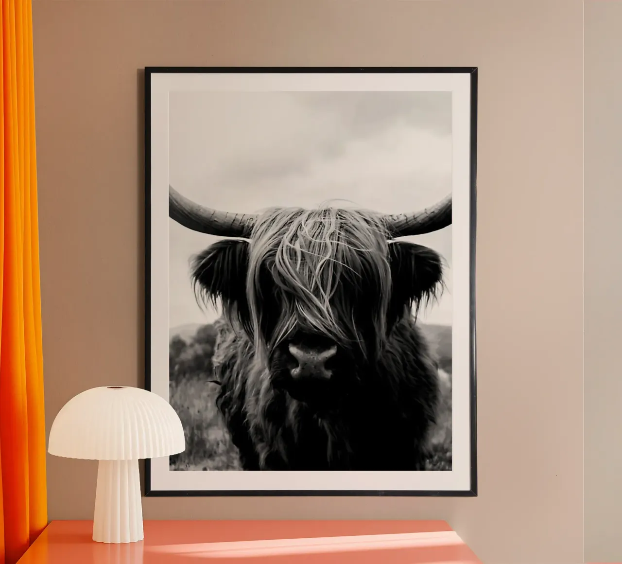 Bovini delle Highlands scozzesi poster con telaio in alluminio da Black And White