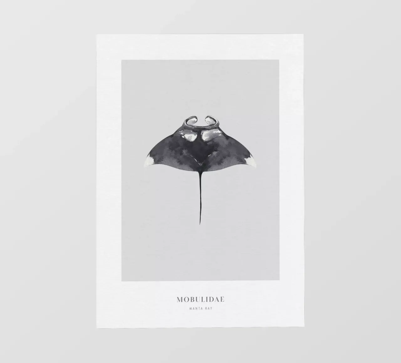 Boho Ocean 2 Manta Ray pellicola backlit da Boho Print Collection