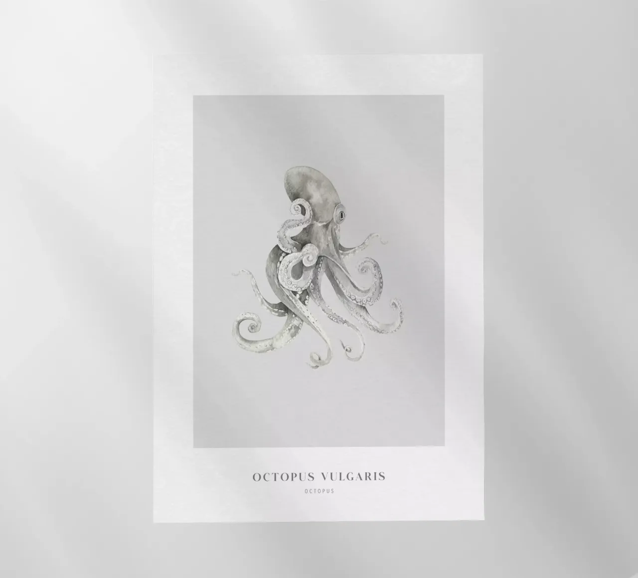 Boho Ocean 2 Octopus pellicola backlit da Boho Print Collection