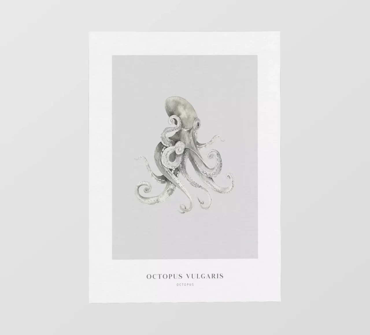 Boho Ocean 2 Octopus pellicola backlit da Boho Print Collection