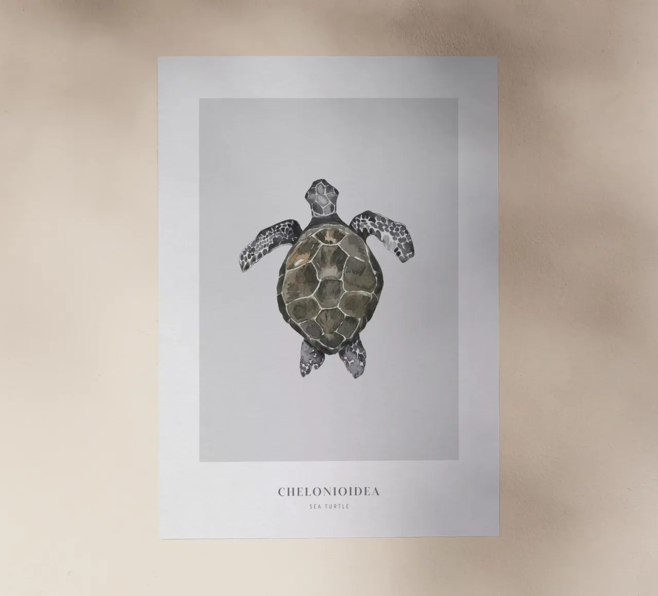 Boho Ocean 2 Sea Turtle pellicola backlit da Boho Print Collection