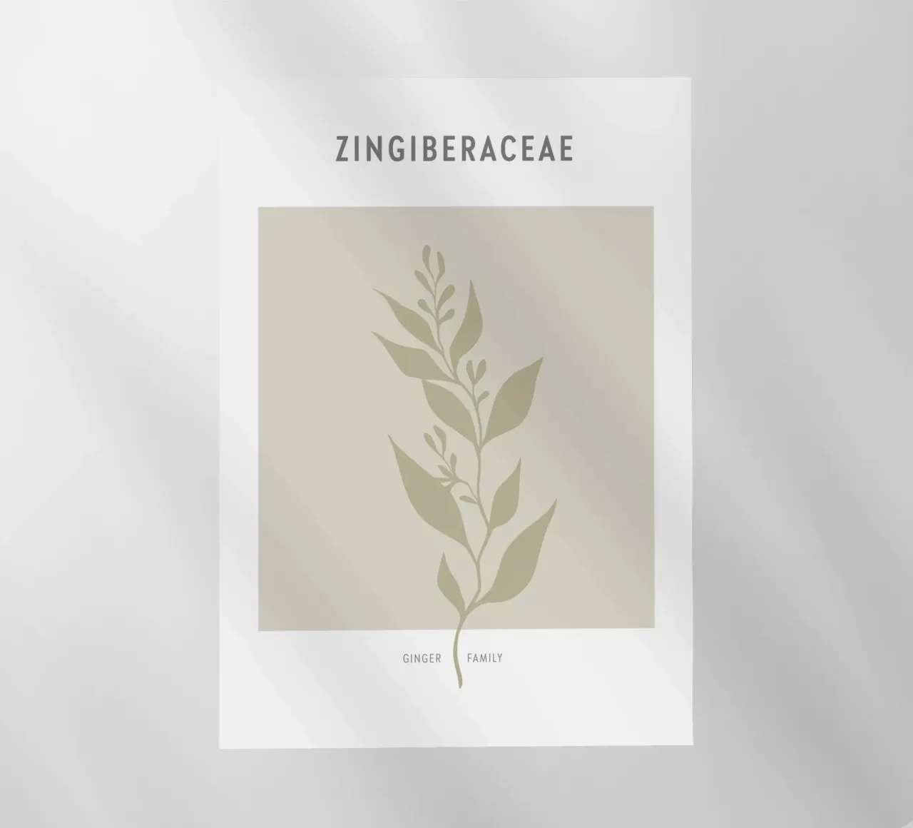 Boho Leaves 2 Zingiberaceae pellicola backlit da Boho Print Collection