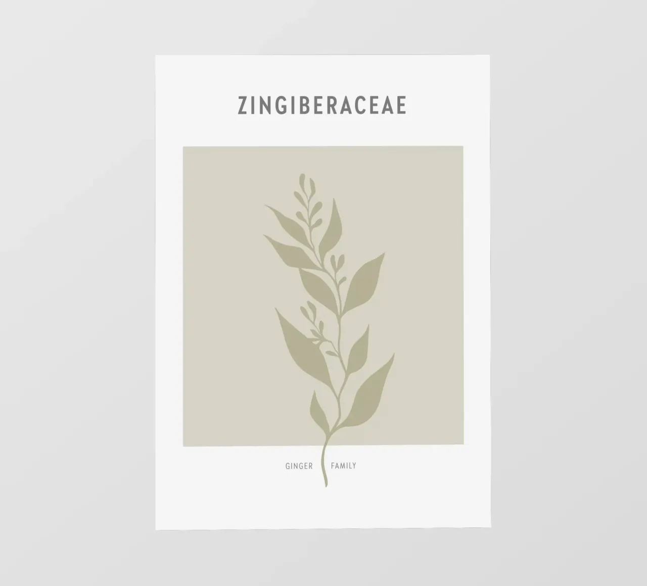 Boho Leaves 2 Zingiberaceae pellicola backlit da Boho Print Collection