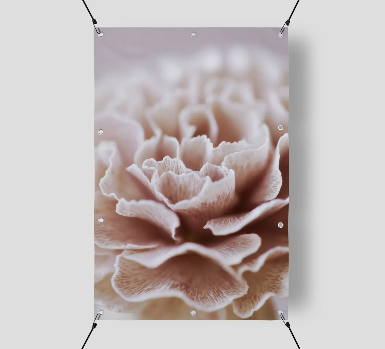 Fragile Bloom No 02 telo in pvc da treechild