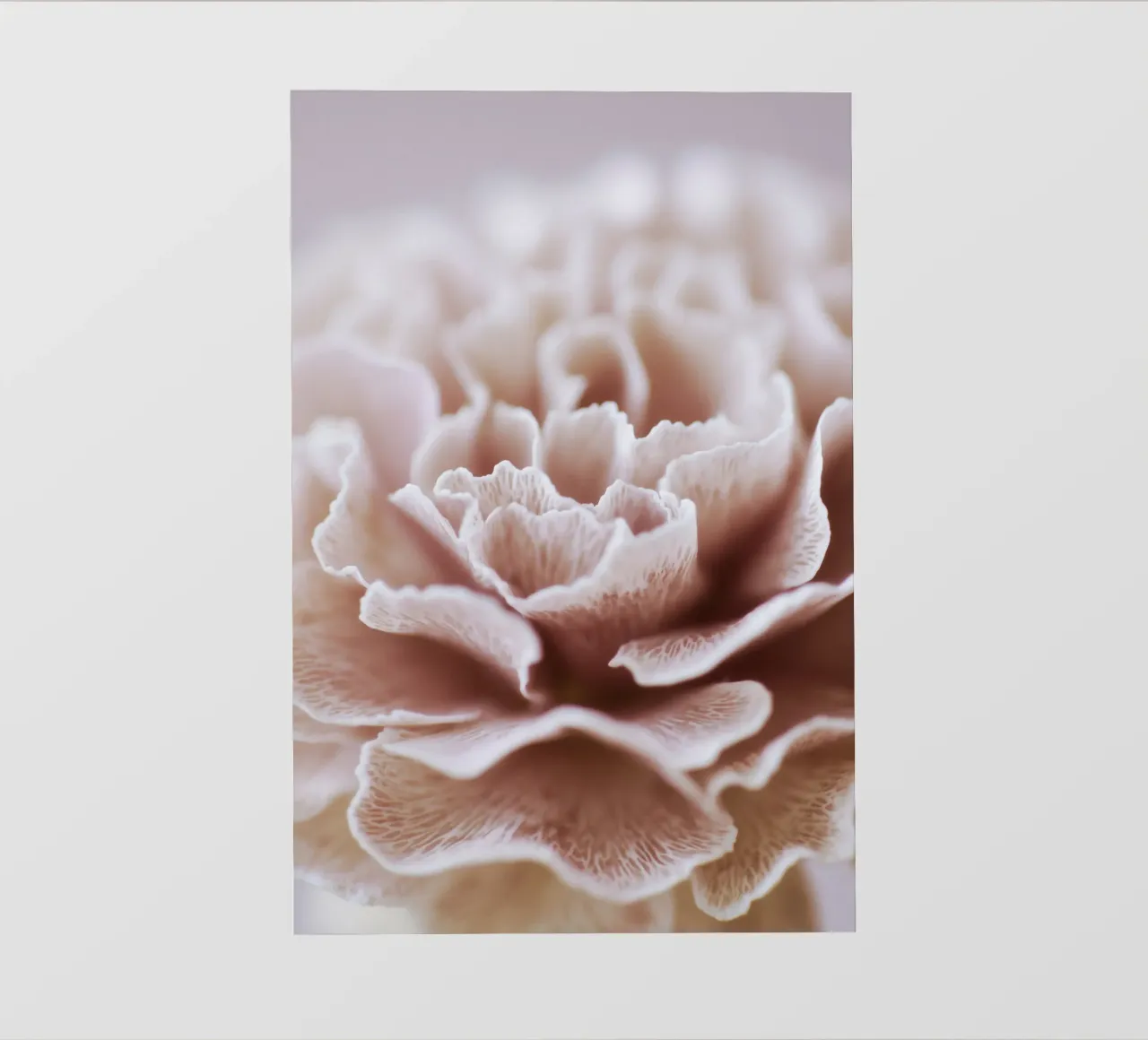 Fragile Bloom No 02 telo in pvc da treechild