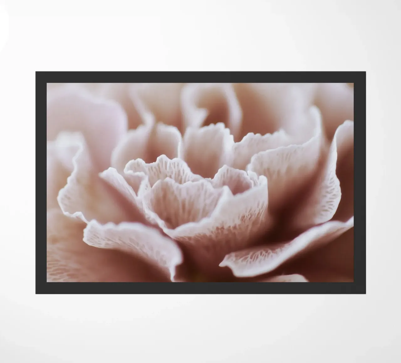 Fragile Bloom No 02 zerbino da treechild