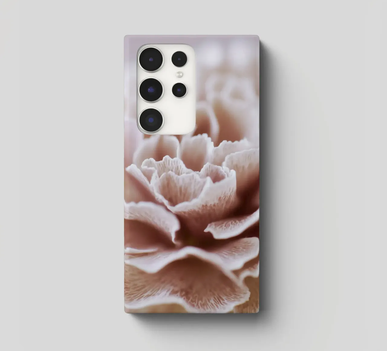 Fragile Bloom No 02 cover samsung da treechild