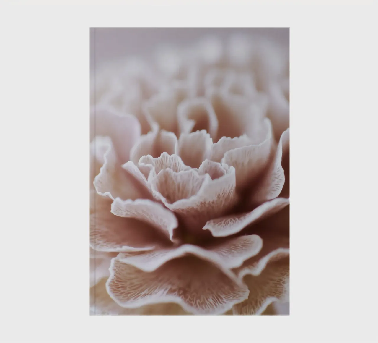 Fragile Bloom No 02 notebook by treechild