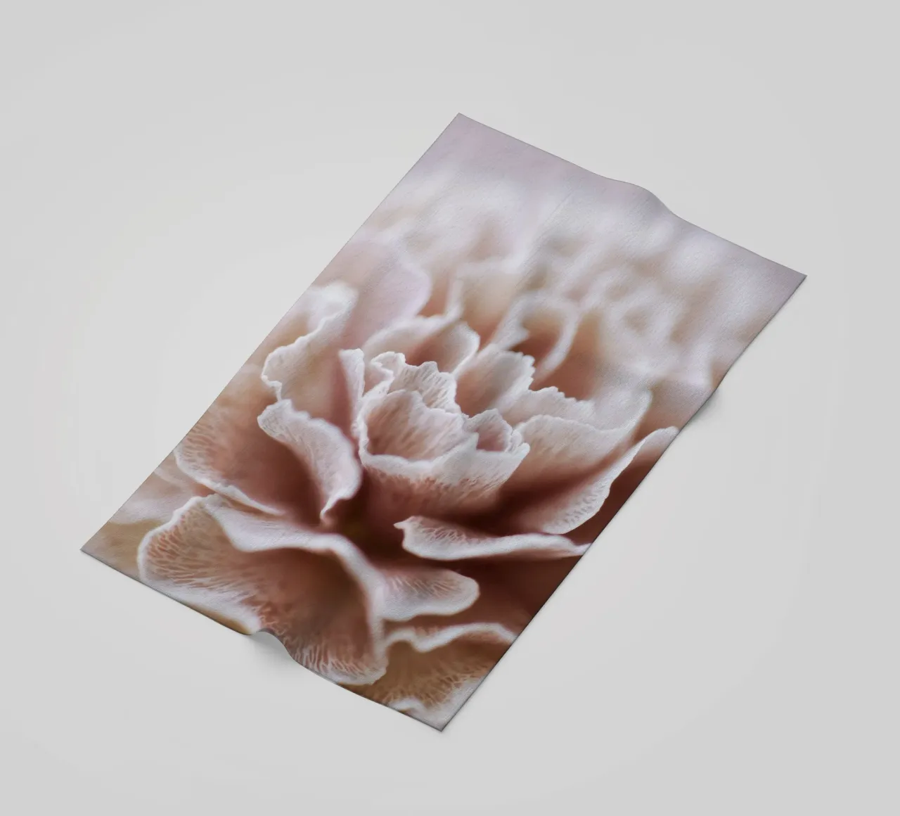 Fragile Bloom No 02 telo mare da treechild