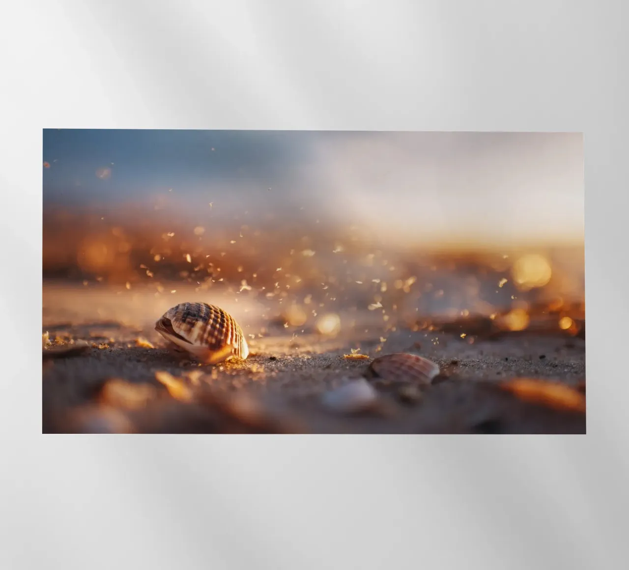 Bokeh Beach No 02 pellicola backlit da treechild