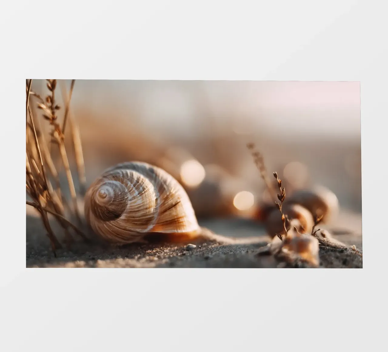 Bokeh Beach No 03 telo in pvc da treechild