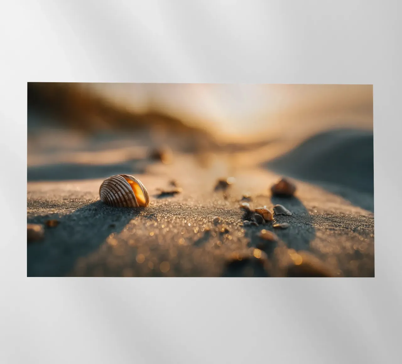 Bokeh Beach No 04 pellicola backlit da treechild