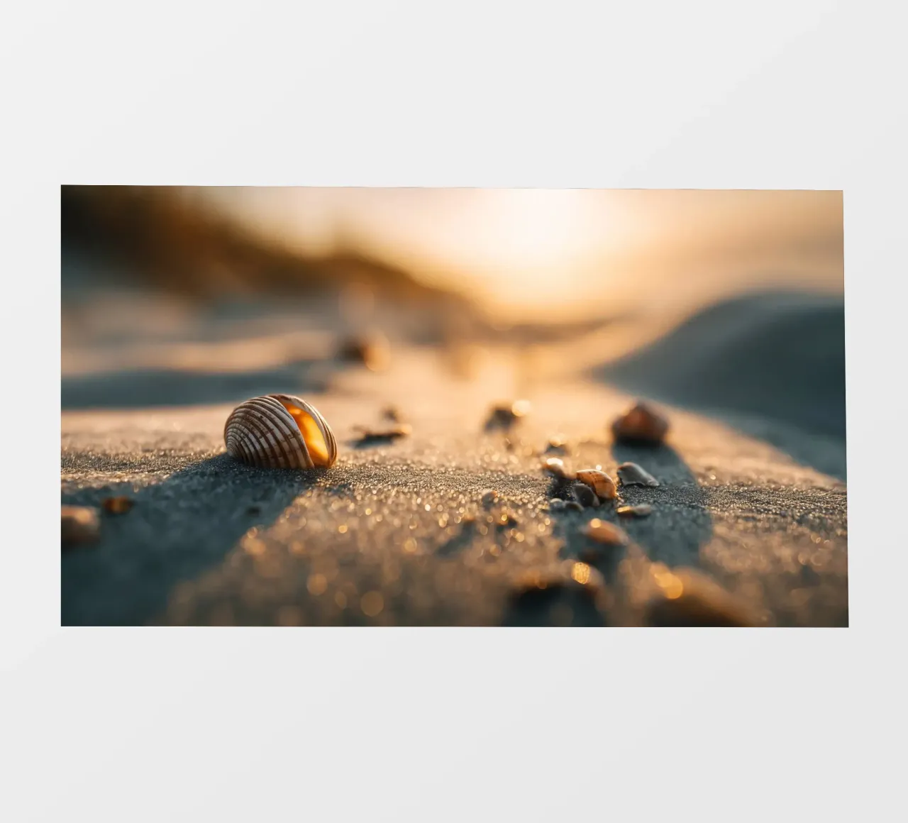 Bokeh Beach No 04 pellicola backlit da treechild