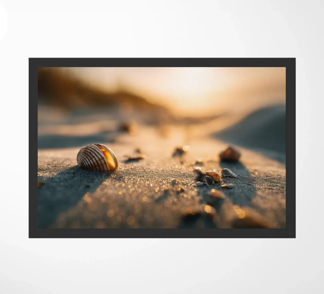 Bokeh Beach No 04 zerbino da treechild