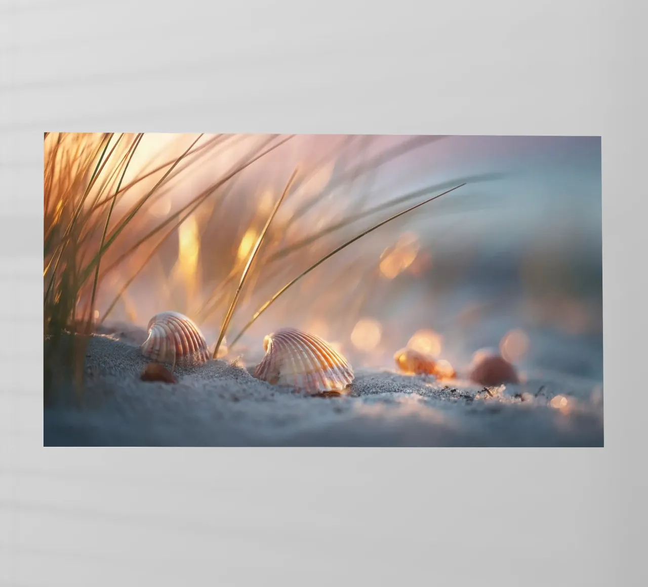 Bokeh Beach No 05 pellicola backlit da treechild