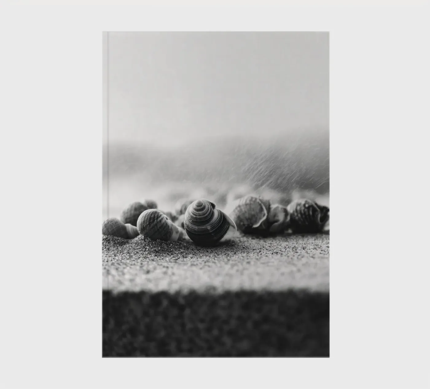 Shell Drift quaderno da treechild