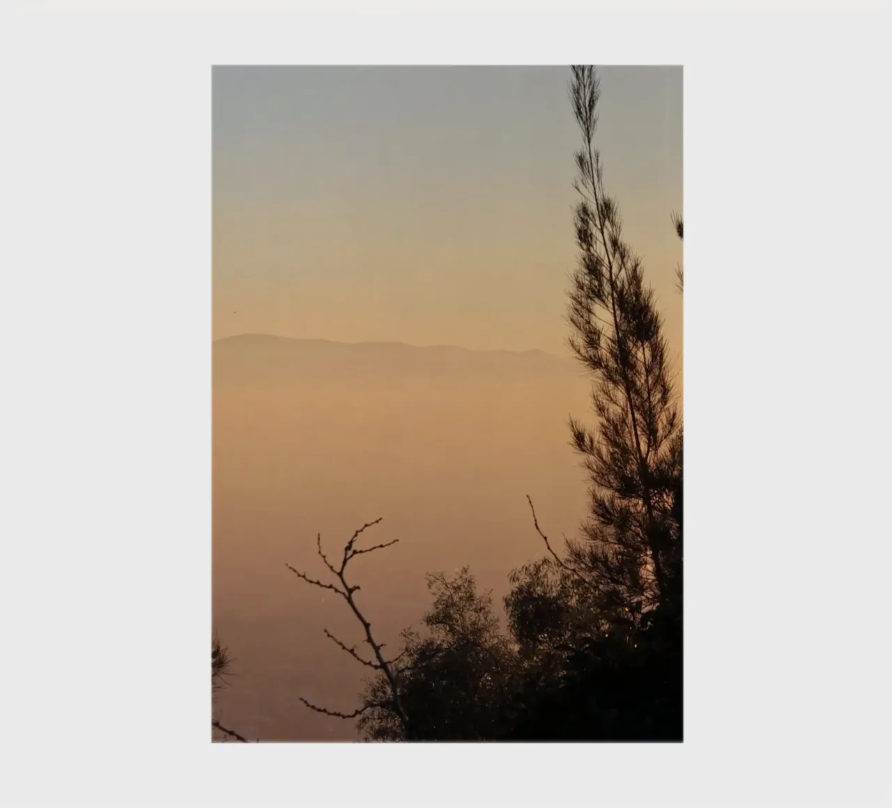 Sunset and trees notebook by LinaTravels