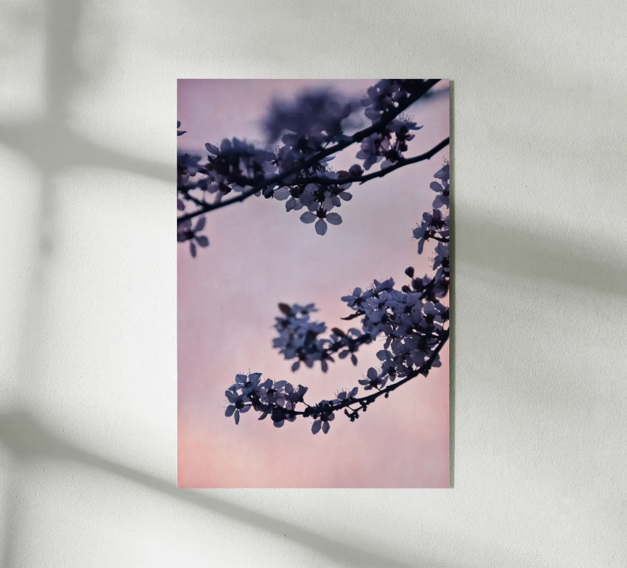 blossoms at dusk plexiglass da Visuelle Poesie am Wegesrand
