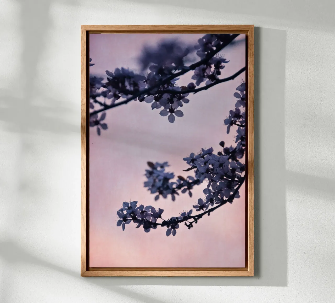 blossoms at dusk alluminio dibond da Visuelle Poesie am Wegesrand