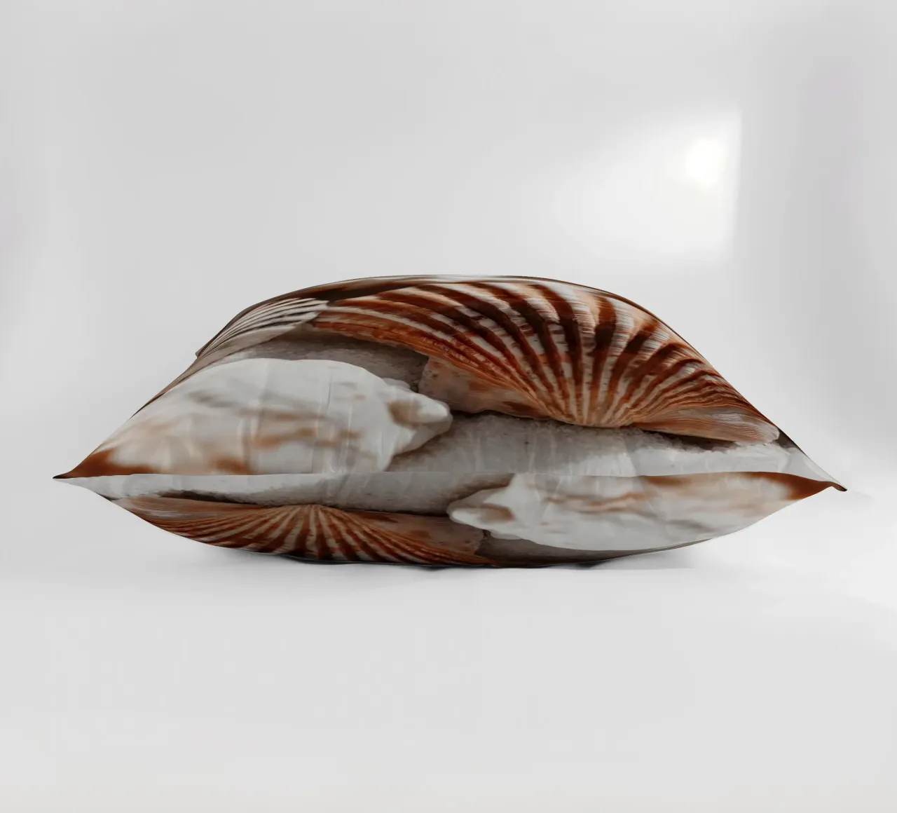 Sea Shell Impression No 01 cuscino da treechild