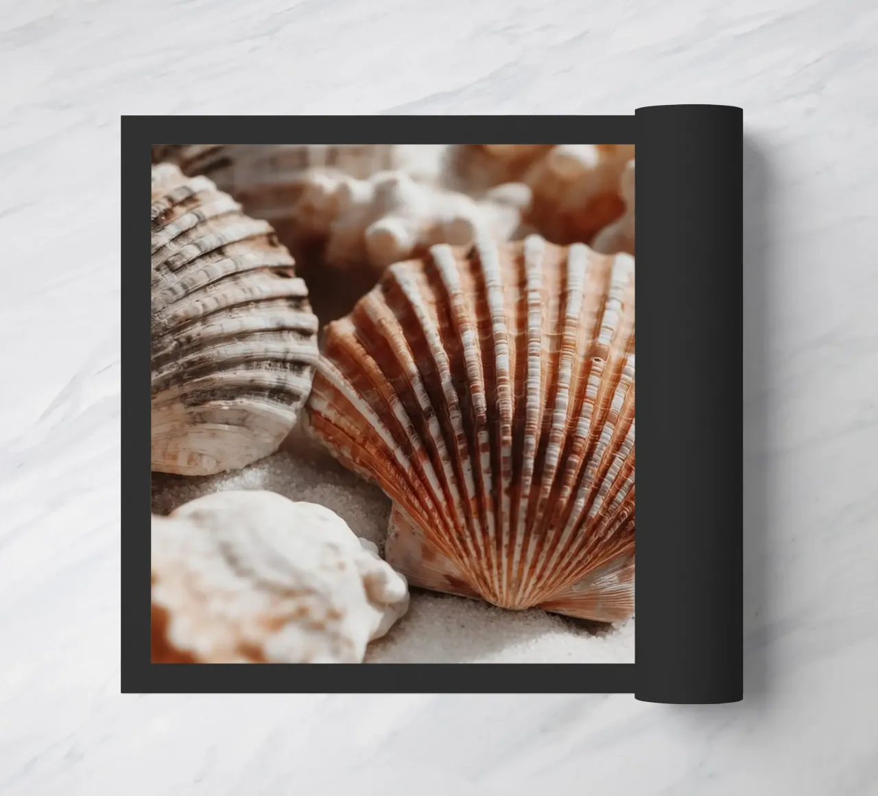 Sea Shell Impression No 01 zerbino da treechild