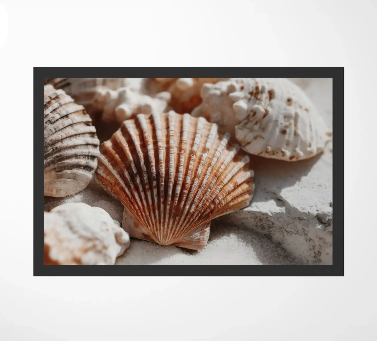 Sea Shell Impression No 01 zerbino da treechild