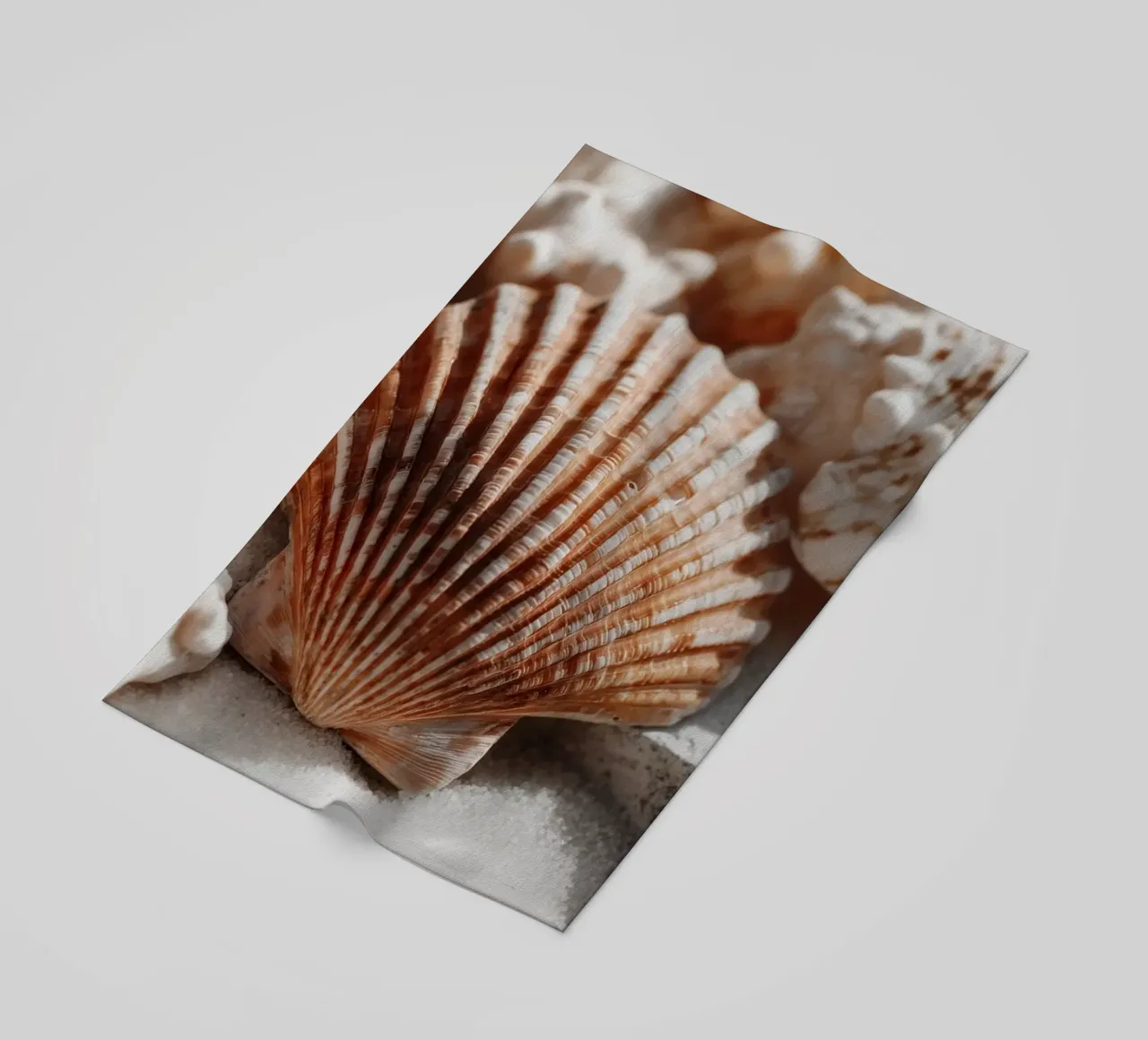 Sea Shell Impression No 01 telo mare da treechild