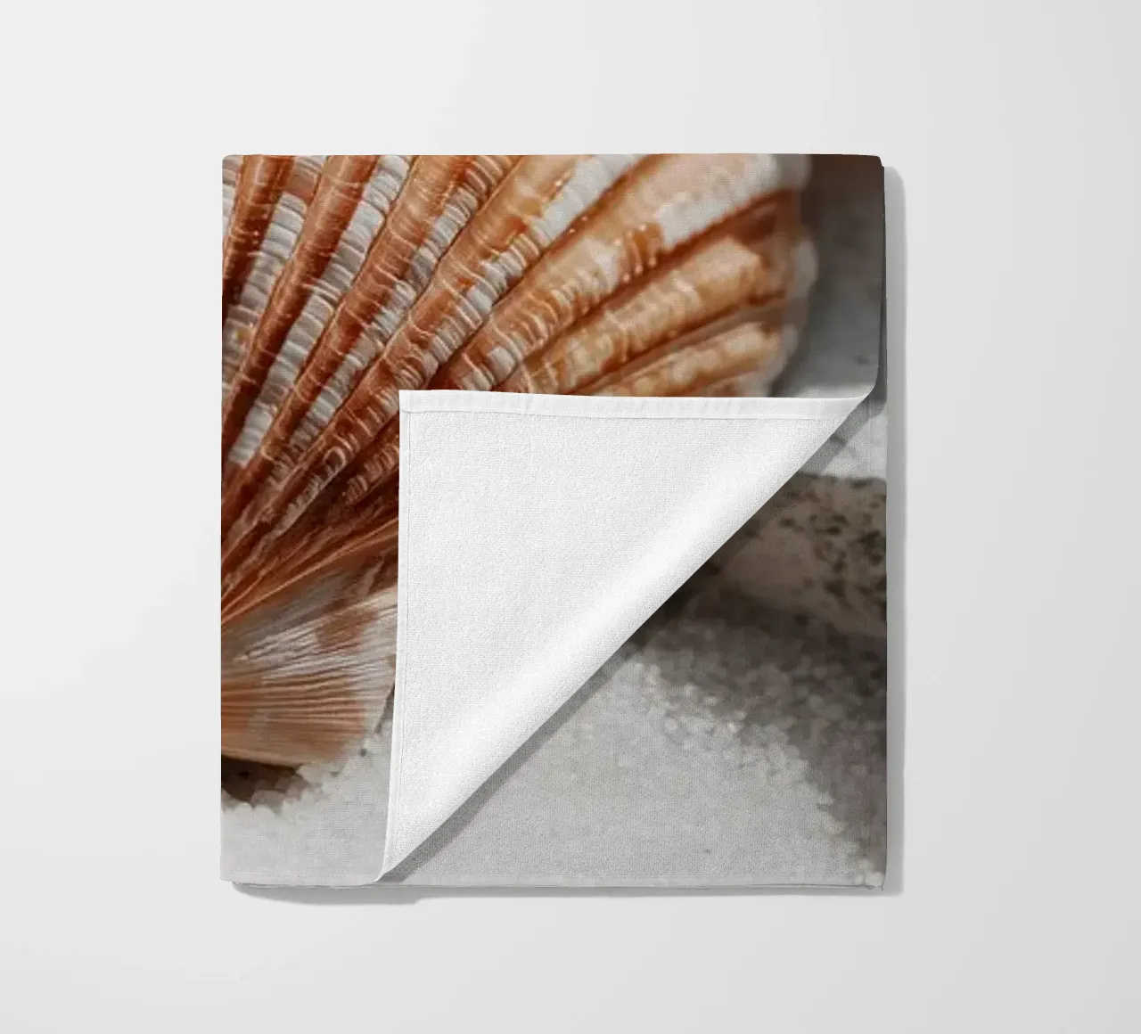 Sea Shell Impression No 01 telo mare da treechild