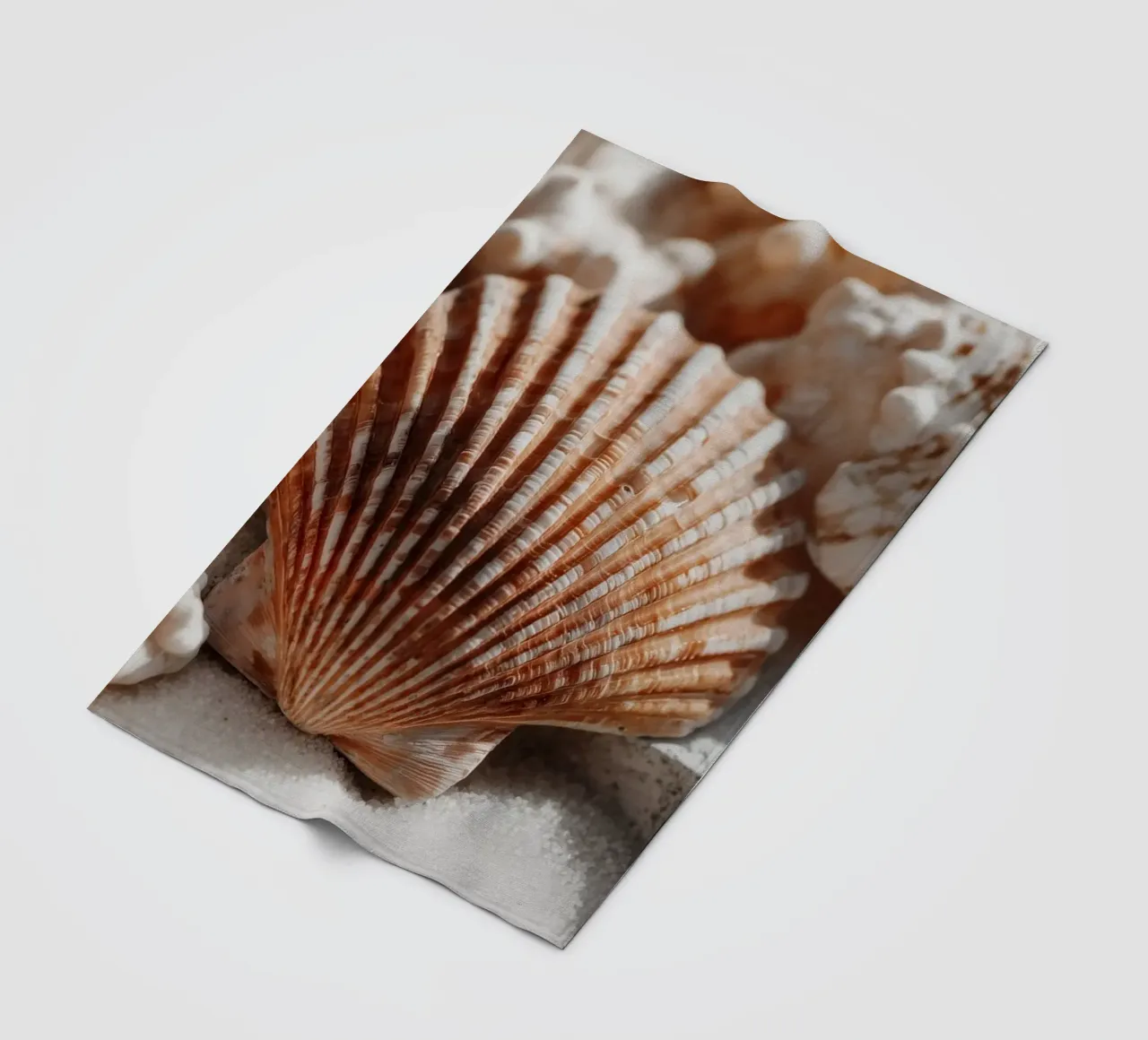 Sea Shell Impression No 01 coperta in pile da treechild