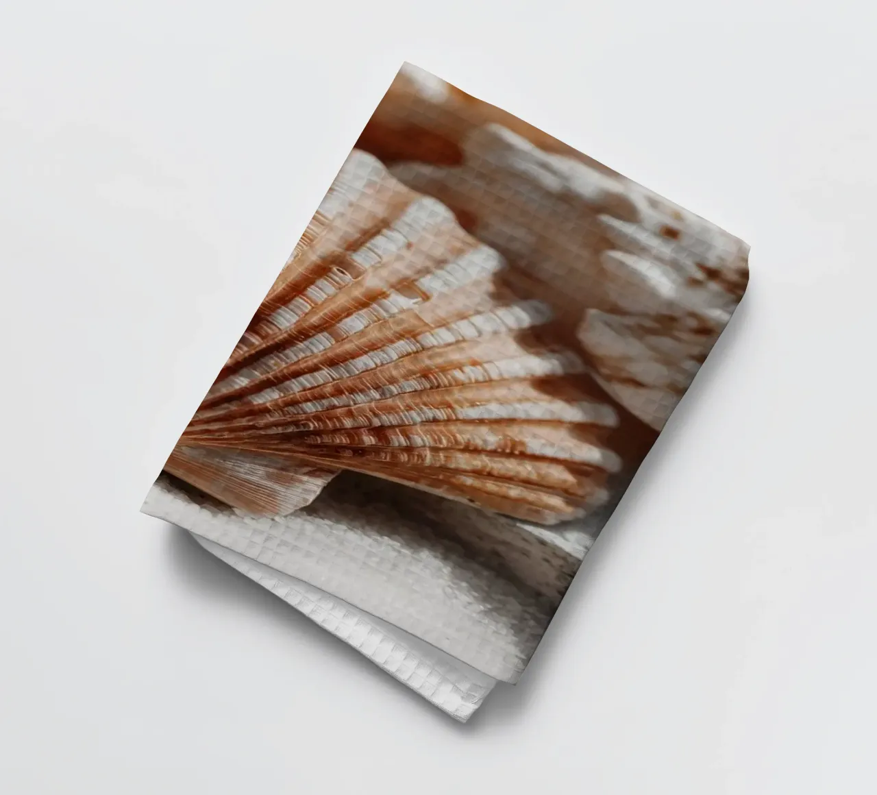 Sea Shell Impression No 01 canovaccio da cucina da treechild