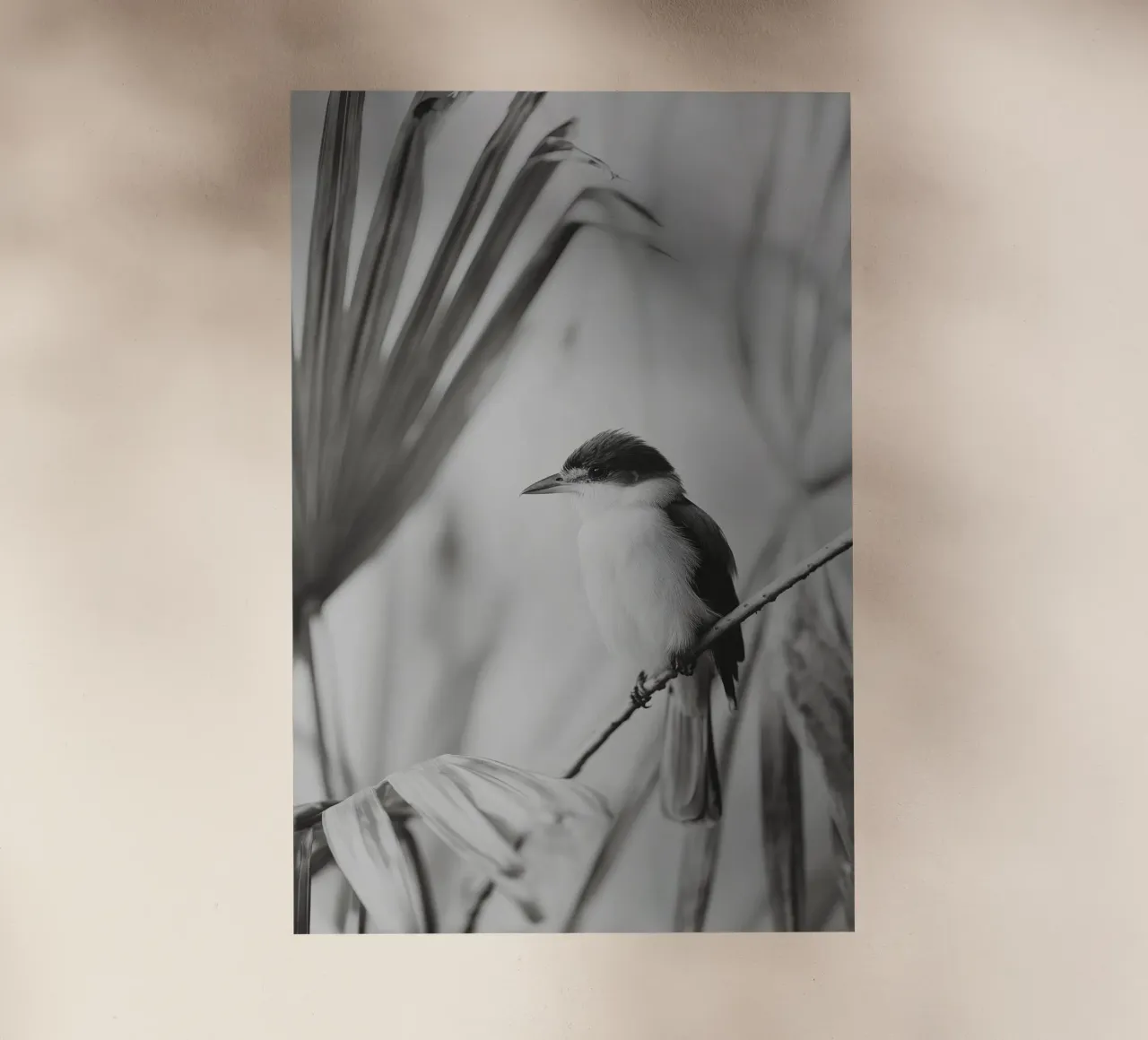 Exotic Bird No 01 pellicola backlit da treechild