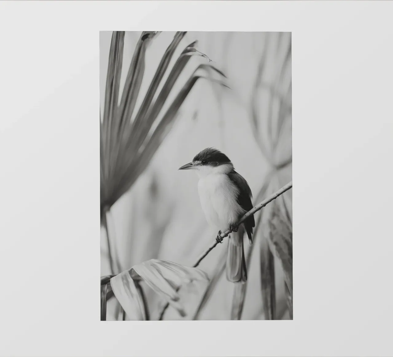Exotic Bird No 01 pellicola backlit da treechild