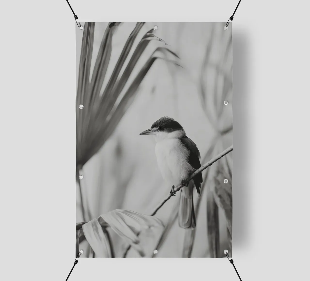 Exotic Bird No 01 telo in pvc da treechild