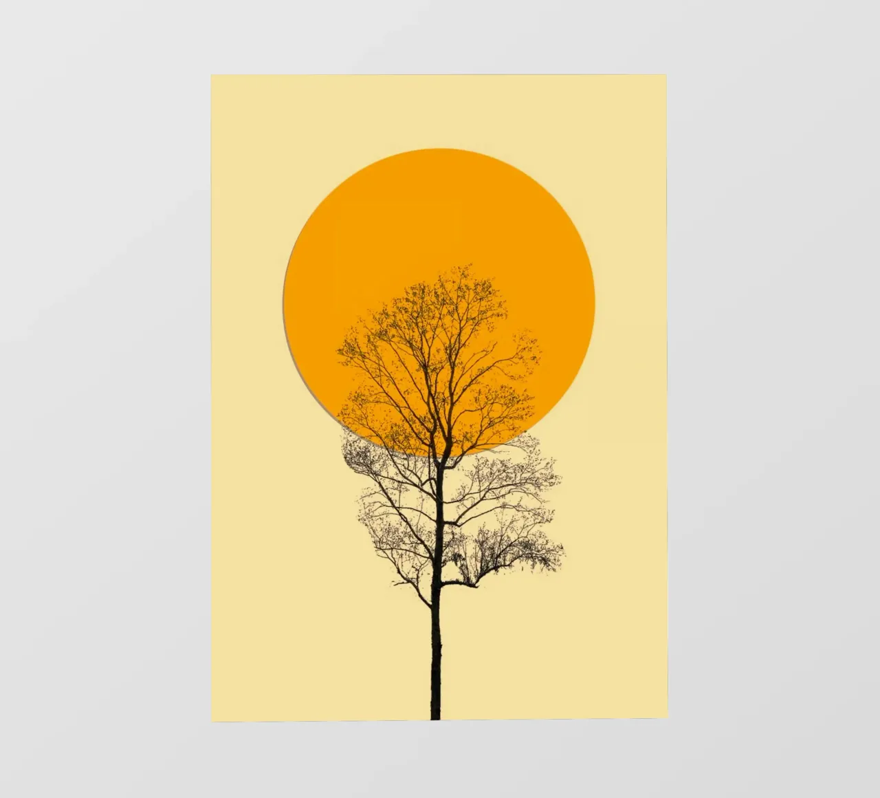 linescape tree and sun pellicola backlit da carsa