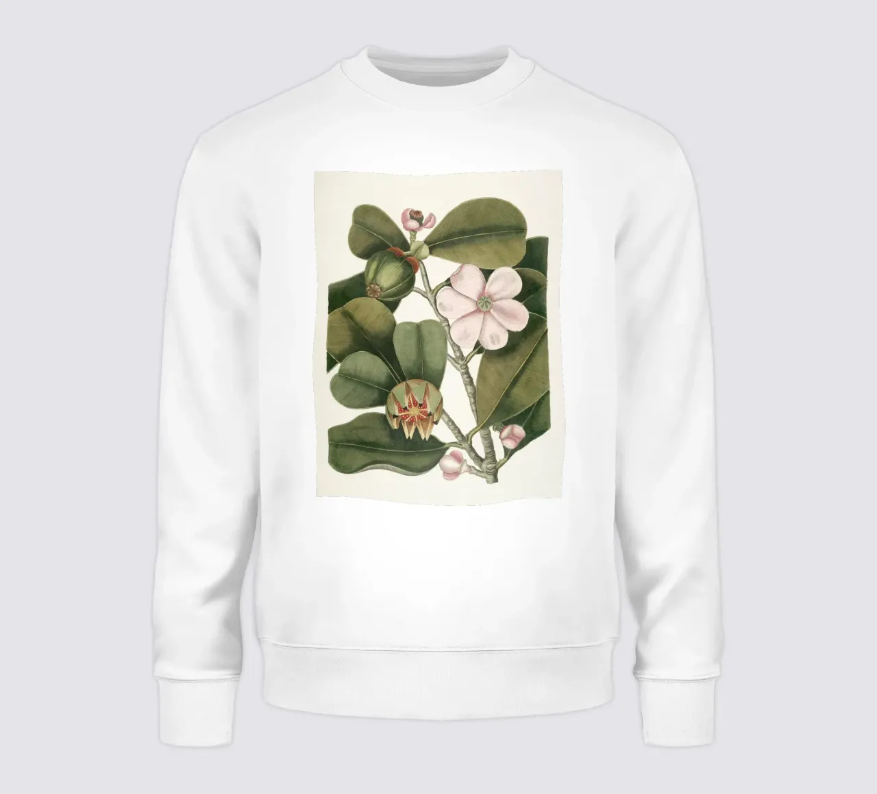 Balsam Tree in Bloom felpa da apoloprints
